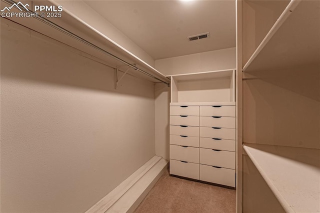 walk in closet with light colored carpet