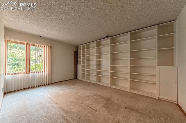 spare room with carpet flooring and a textured ceiling