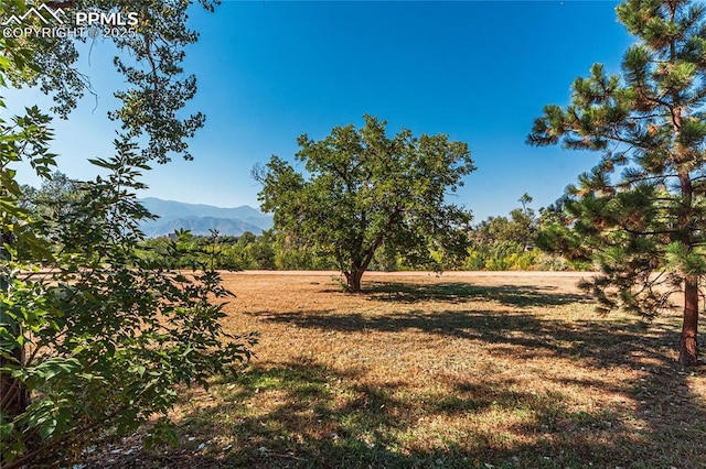 view of local wilderness featuring a mountain view