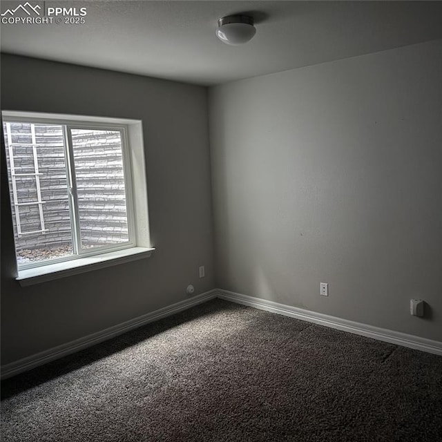 unfurnished room featuring carpet floors