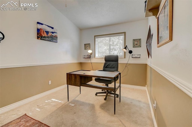 office space featuring vaulted ceiling, light carpet, and a textured ceiling