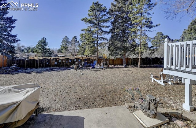 view of yard featuring a patio