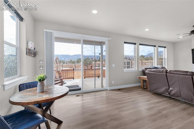 interior space featuring a mountain view, a wealth of natural light, and light hardwood / wood-style floors