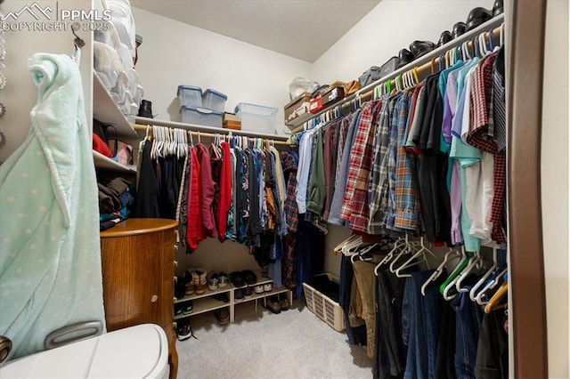 walk in closet with carpet