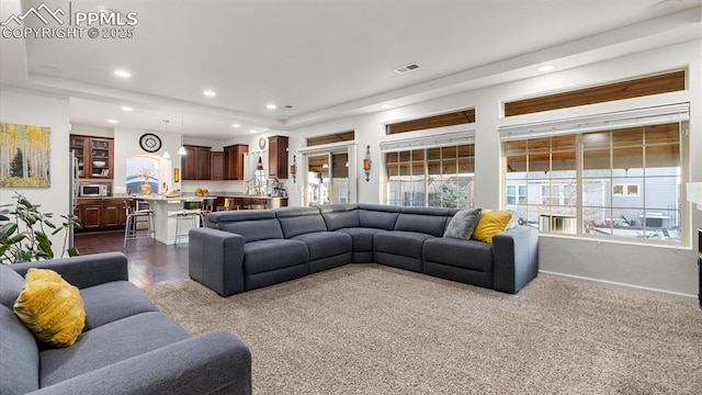 living room with a tray ceiling