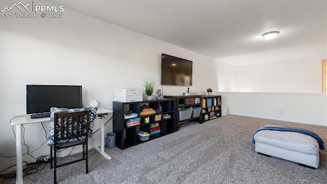 home office with carpet floors