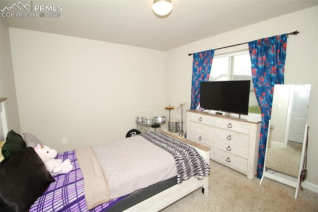 bedroom with light carpet