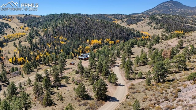 drone / aerial view with a mountain view