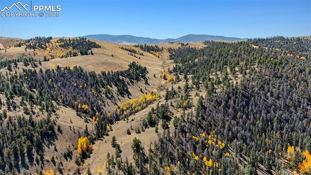 view of mountain feature