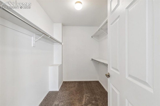 spacious closet featuring dark colored carpet