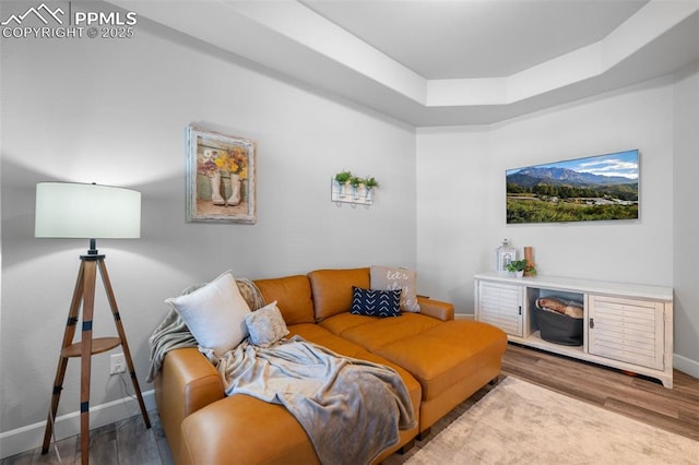 living room featuring hardwood / wood-style flooring and a tray ceiling