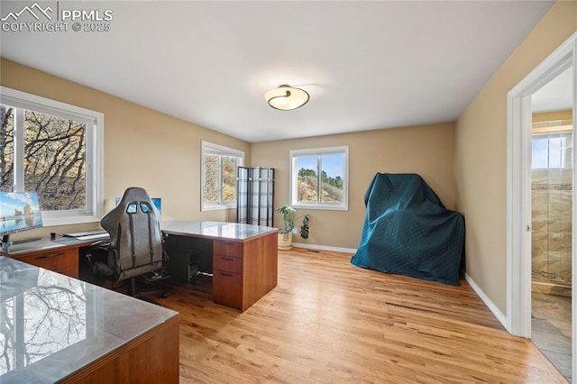 office space with light wood-type flooring