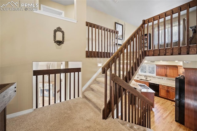 stairs with sink and wood-type flooring