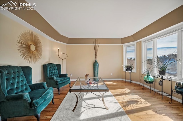 living area with hardwood / wood-style flooring