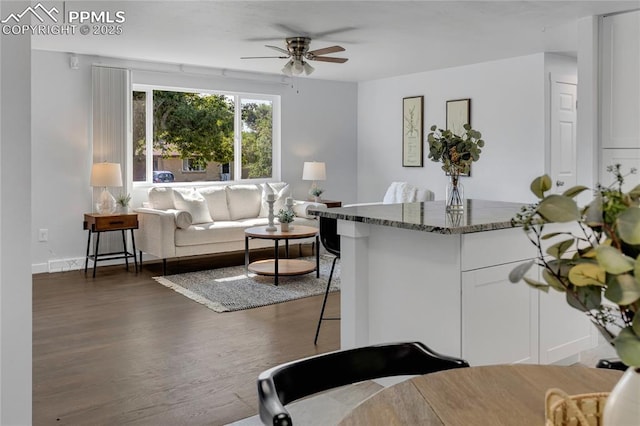 living room with dark wood-type flooring and ceiling fan