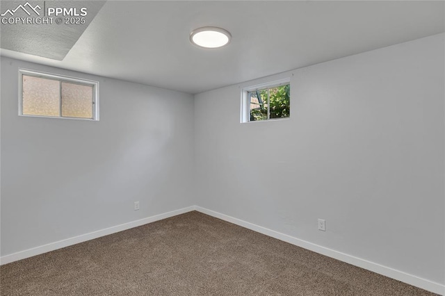 basement featuring carpet