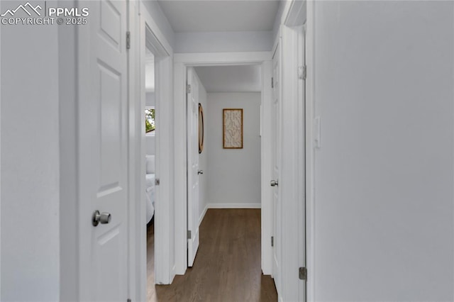 hall with dark wood-type flooring