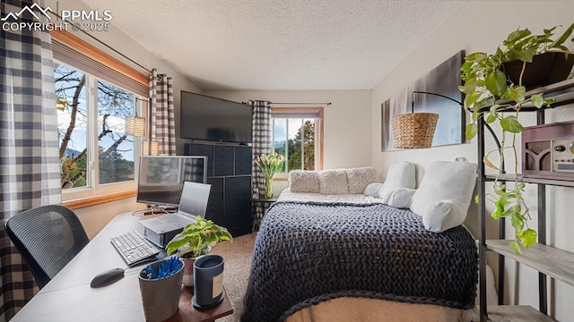 bedroom featuring a textured ceiling and carpet flooring