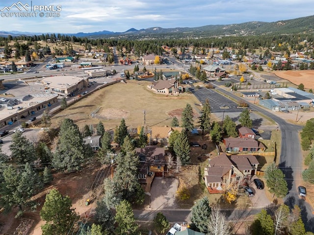 bird's eye view with a mountain view