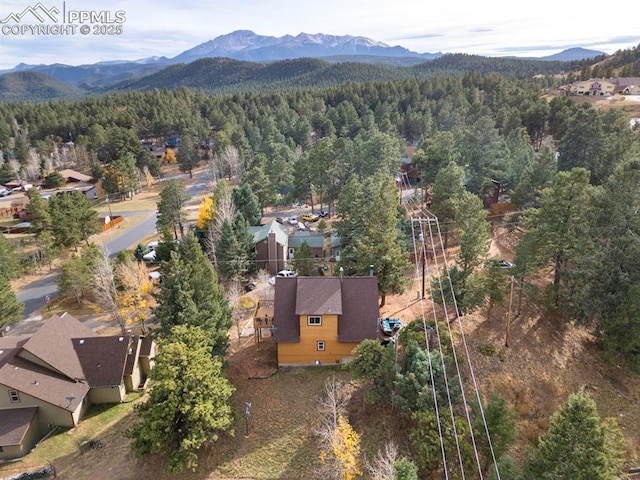 birds eye view of property with a mountain view