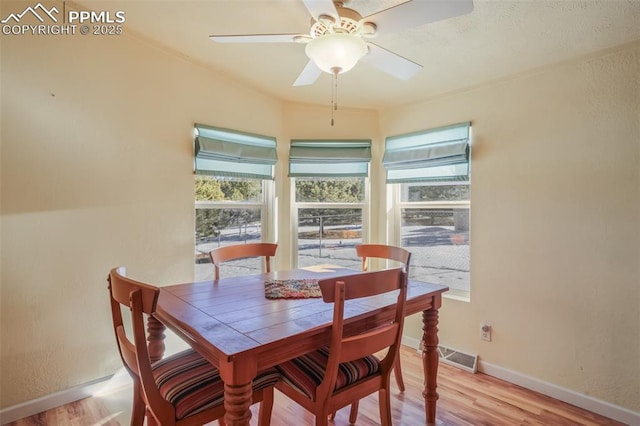 dining space featuring ceiling fan, a healthy amount of sunlight, and light hardwood / wood-style floors