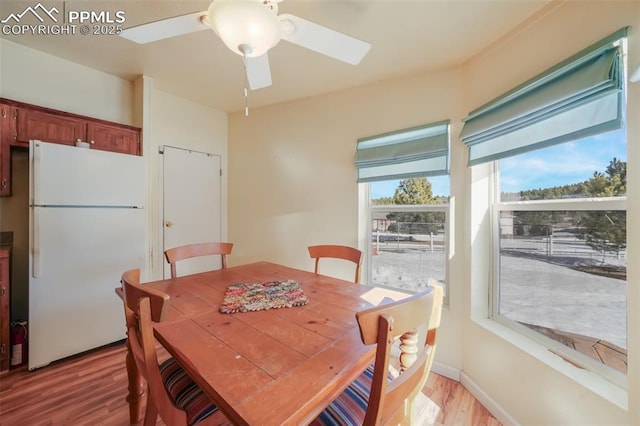 dining room featuring ceiling fan and light hardwood / wood-style floors