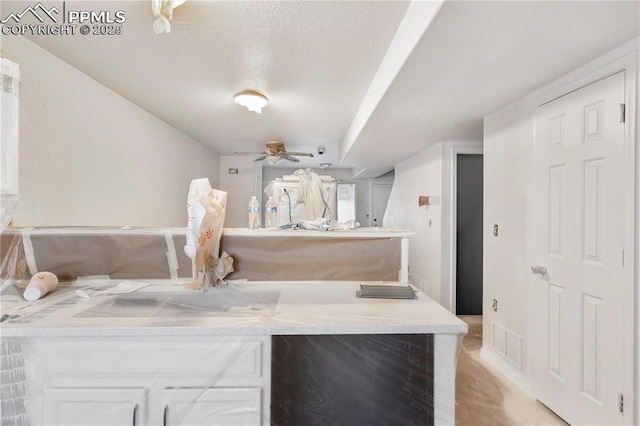 kitchen with white cabinetry and ceiling fan