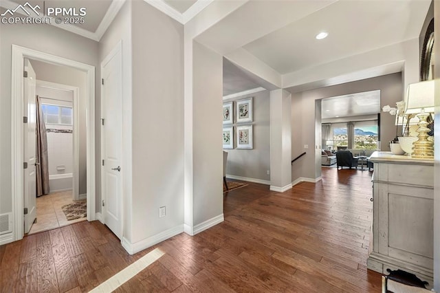 hallway with crown molding and dark hardwood / wood-style floors