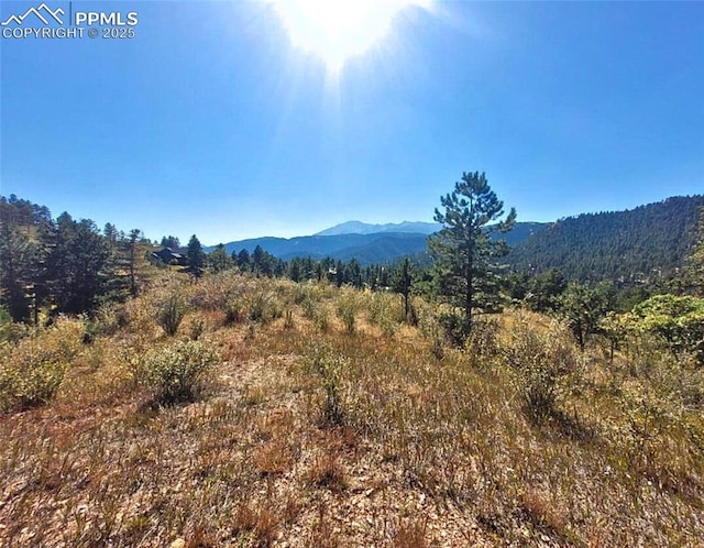 520 Sunny Glen Ct, Woodland Park CO, 80863 land for sale