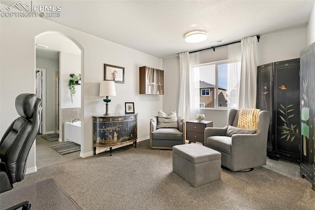 sitting room with carpet flooring