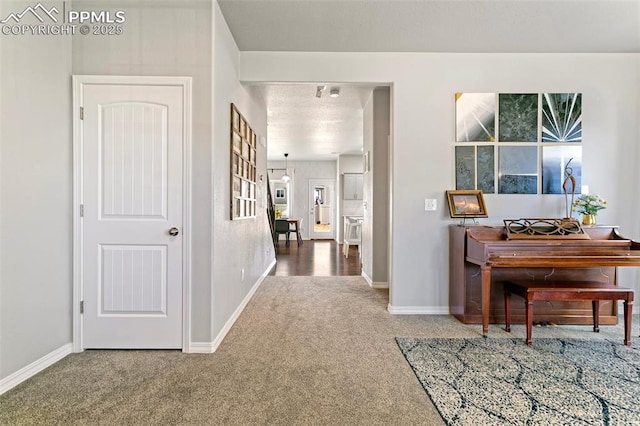 hallway with carpet floors