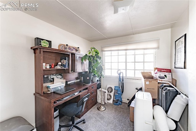 view of carpeted office