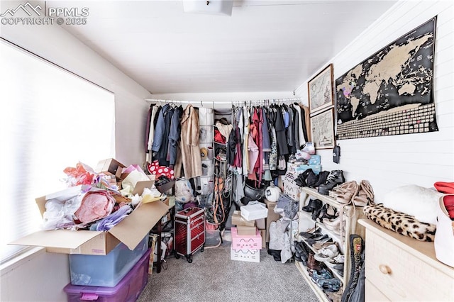 walk in closet with carpet floors