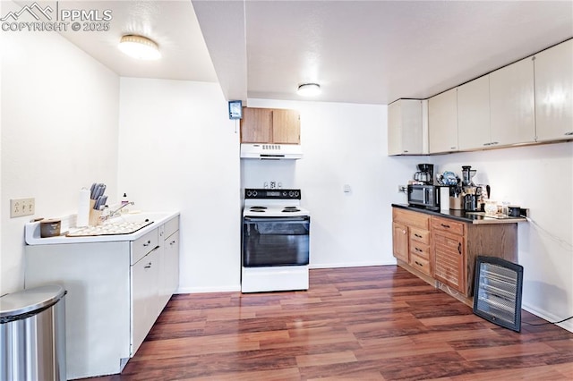 kitchen featuring dark hardwood / wood-style flooring, sink, and white electric stove