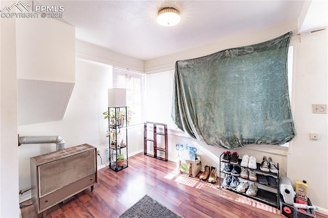 interior space featuring hardwood / wood-style flooring