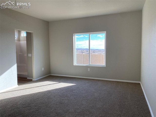 view of carpeted empty room