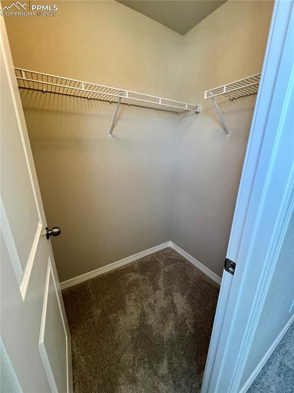 spacious closet featuring carpet flooring