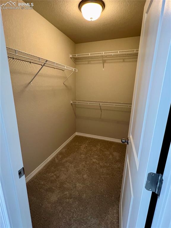 walk in closet with dark colored carpet