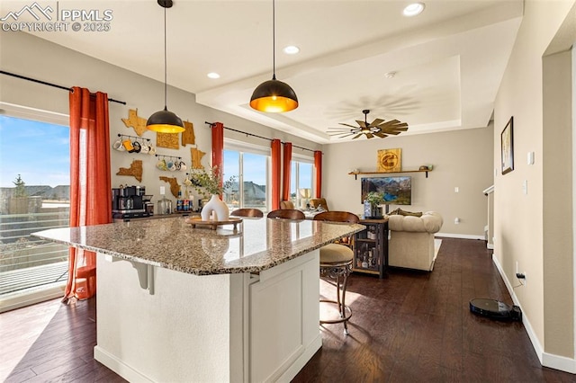 kitchen with a tray ceiling, dark hardwood / wood-style flooring, stone counters, pendant lighting, and white cabinets