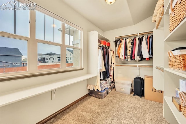 spacious closet featuring light carpet