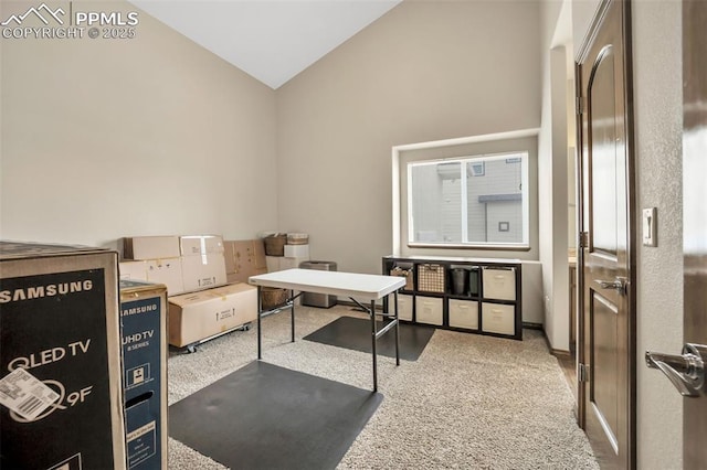 office space featuring lofted ceiling and light carpet