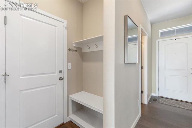 mudroom with dark wood-type flooring