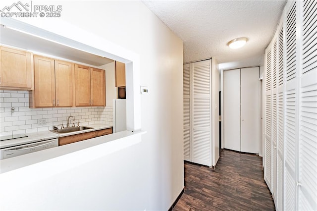 kitchen with sink, white appliances, backsplash, a textured ceiling, and dark hardwood / wood-style flooring