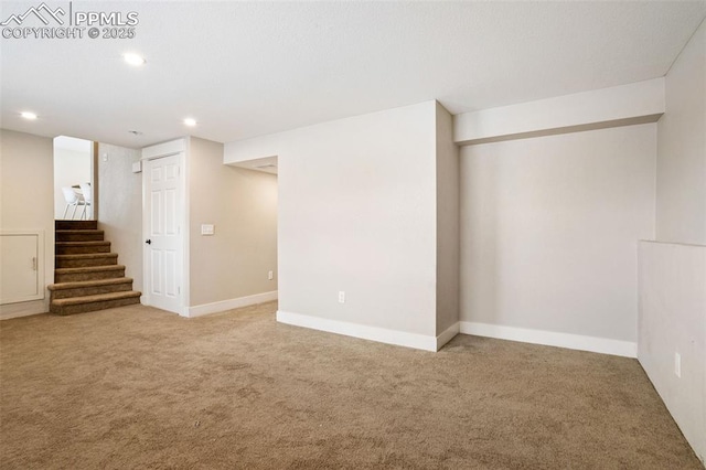 basement featuring carpet