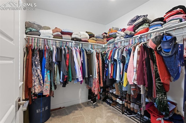 spacious closet with carpet flooring