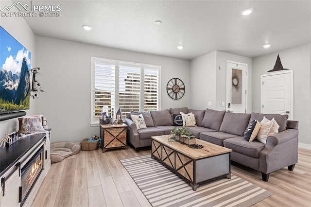 living room featuring light hardwood / wood-style floors