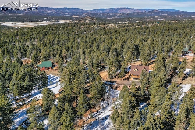 drone / aerial view with a mountain view