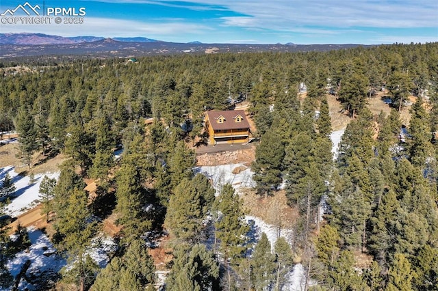 drone / aerial view with a mountain view