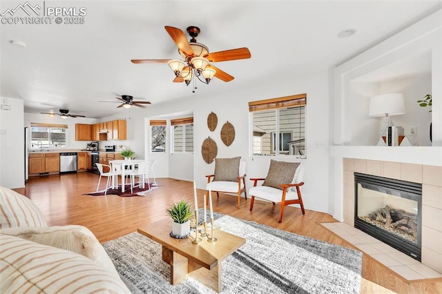 living room featuring a fireplace and light wood-type flooring