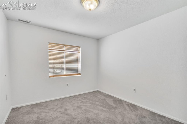 spare room with carpet and a textured ceiling